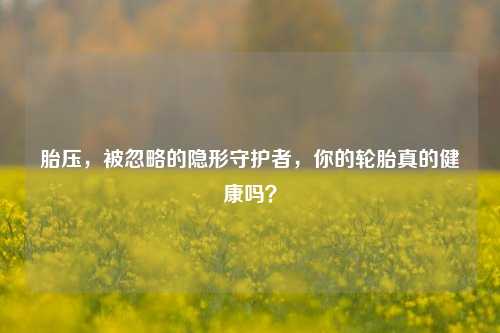 胎压,被忽略的隐形守护者,你的轮胎真的健康吗?