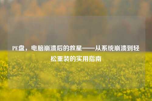 PE盘,电脑崩溃后的救星——从系统崩溃到轻松重装的实用指南