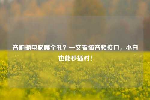音响插电脑哪个孔?一文看懂音频接口,小白也能秒插对!