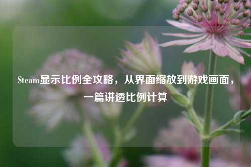 Steam显示比例全攻略,从界面缩放到游戏画面,一篇讲透比例计算