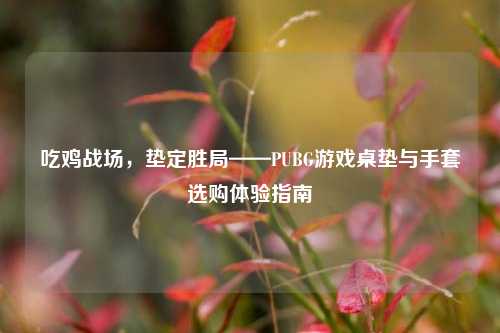 吃鸡战场，垫定胜局——PUBG游戏桌垫与手套选购体验指南