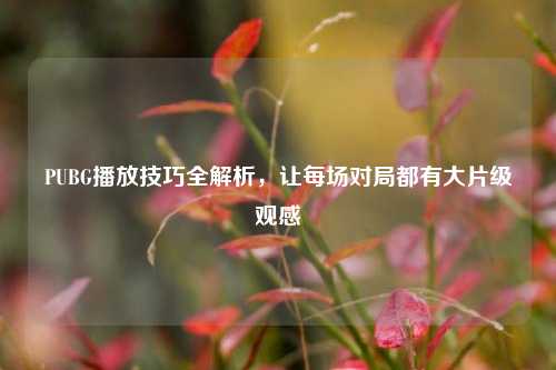 PUBG播放技巧全解析,让每场对局都有大片级观感