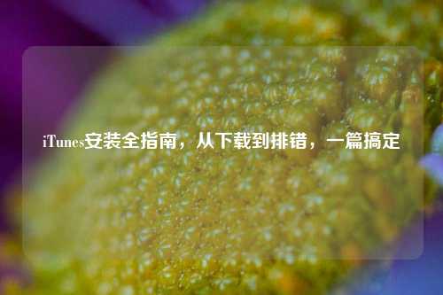 iTunes安装全指南,从下载到排错,一篇搞定