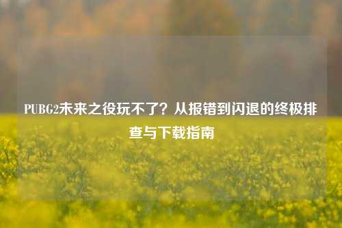 PUBG2未来之役玩不了?从报错到闪退的终极排查与下载指南