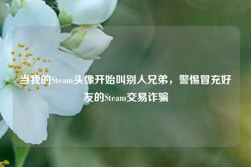 当我的Steam头像开始叫别人兄弟,警惕冒充好友的Steam交易诈骗