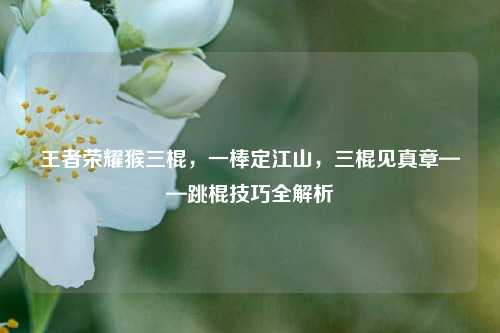 王者荣耀猴三棍，一棒定江山，三棍见真章——跳棍技巧全解析