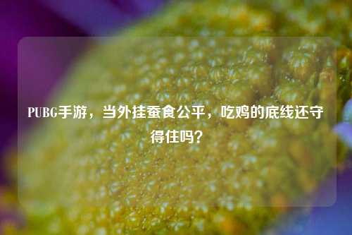 PUBG手游,当外挂蚕食公平,吃鸡的底线还守得住吗?