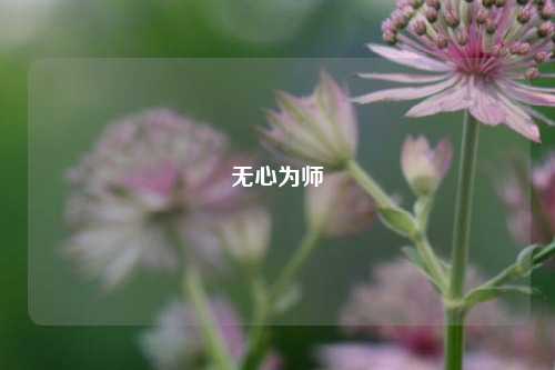 无心为师