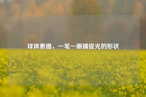 球体素描,一笔一画捕捉光的形状
