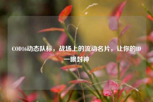 COD16动态队标，战场上的流动名片，让你的ID一眼封神