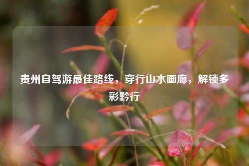 贵州自驾游最佳路线,穿行山水画廊,解锁多彩黔行