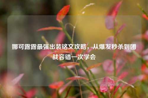 娜可露露最强出装铭文攻略，从爆发秒杀到团战容错一次学会