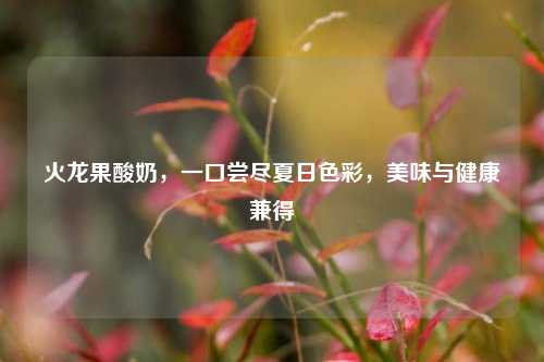 火龙果酸奶，一口尝尽夏日色彩，美味与健康兼得