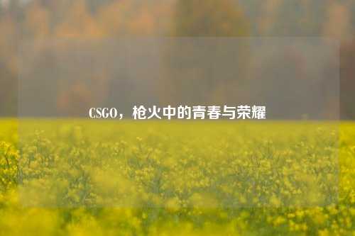 CSGO,枪火中的青春与荣耀