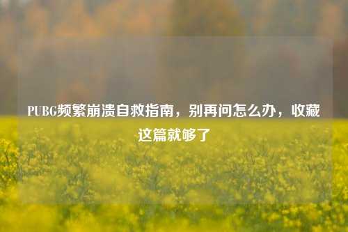 PUBG频繁崩溃自救指南,别再问怎么办,收藏这篇就够了