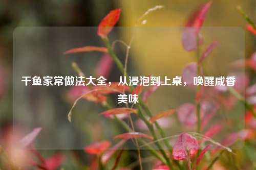 干鱼家常做法大全，从浸泡到上桌，唤醒咸香美味