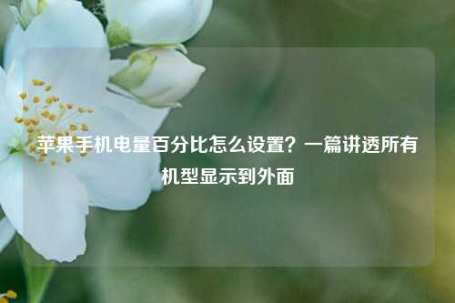 苹果手机电量百分比怎么设置?一篇讲透所有机型显示到外面