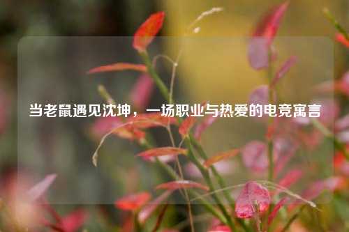 当老鼠遇见沈坤,一场职业与热爱的电竞寓言
