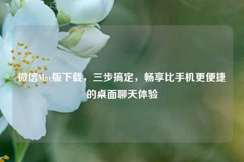 微信Mac版下载，三步搞定，畅享比手机更便捷的桌面聊天体验