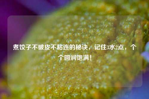 煮饺子不破皮不粘连的秘诀，记住3水2点，个个圆润饱满！