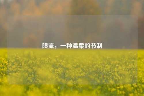 限流,一种温柔的节制
