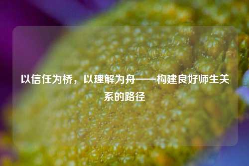 以信任为桥，以理解为舟——构建良好师生关系的路径