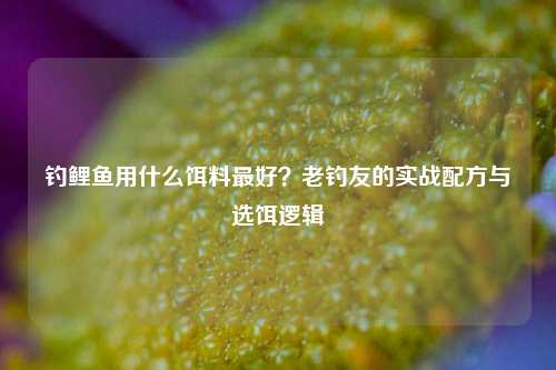 钓鲤鱼用什么饵料最好?老钓友的实战配方与选饵逻辑
