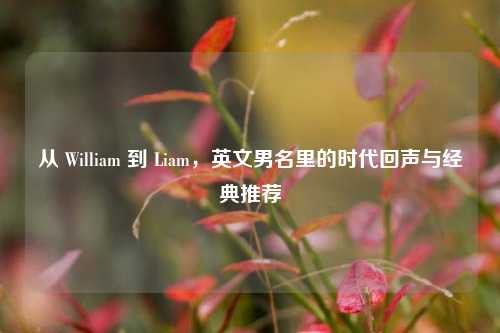 从 William 到 Liam,英文男名里的时代回声与经典推荐