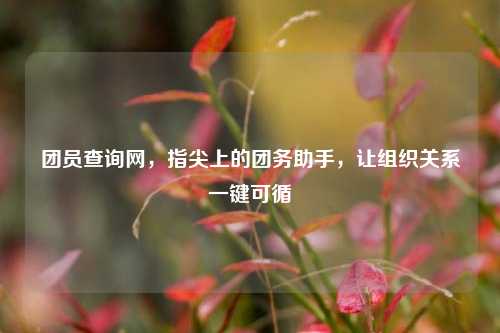 团员查询网,指尖上的团务助手,让组织关系一键可循