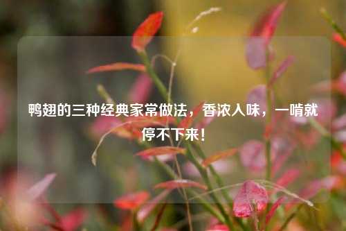 鸭翅的三种经典家常做法，香浓入味，一啃就停不下来！