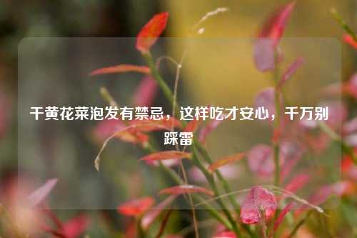 干黄花菜泡发有禁忌，这样吃才安心，千万别踩雷