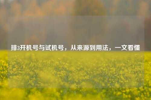 排3开机号与试机号，从来源到用法，一文看懂