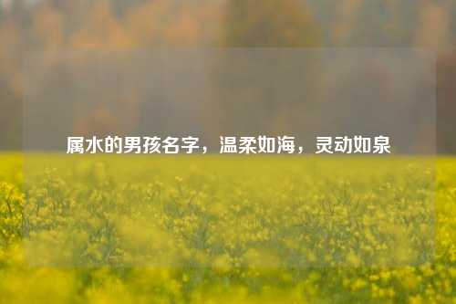 属水的男孩名字，温柔如海，灵动如泉
