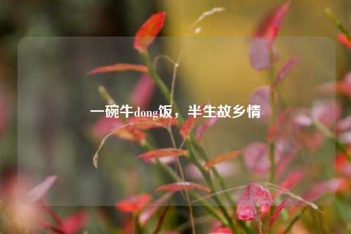 一碗牛dong饭,半生故乡情