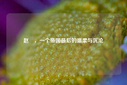 赵禥，一个帝国最后的温柔与沉沦