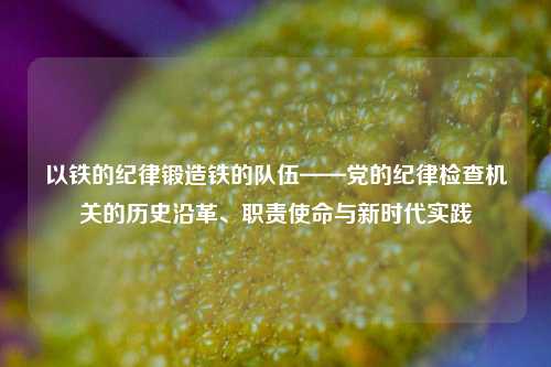 以铁的纪律锻造铁的队伍——党的纪律检查机关的历史沿革、职责使命与新时代实践