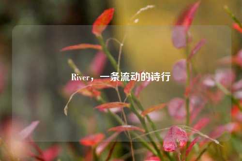 River，一条流动的诗行