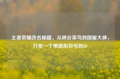 王者荣耀改名秘籍，从峡谷菜鸟到国服大神，只差一个带隐形符号的ID