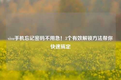vivo手机忘记密码不用急!3个有效解锁方法帮你快速搞定