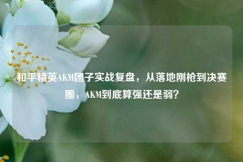 和平精英AKM团子实战复盘,从落地刚枪到决赛圈,AKM到底算强还是弱?