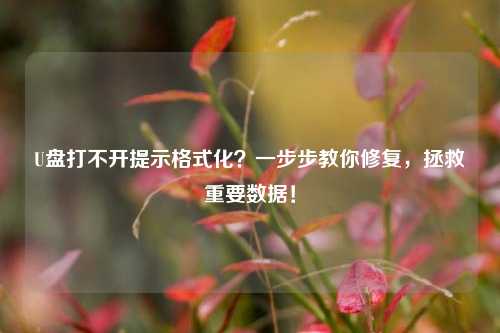 U盘打不开提示格式化?一步步教你修复,拯救重要数据!