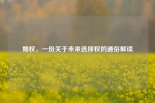 期权,一份关于未来选择权的通俗解读