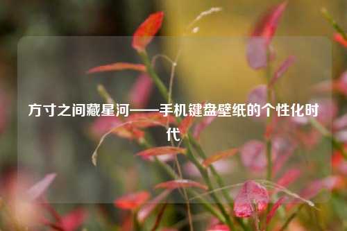 方寸之间藏星河——手机键盘壁纸的个性化时代