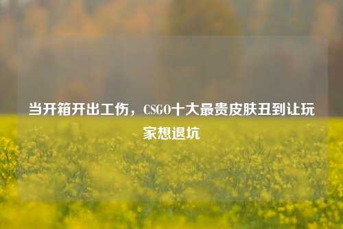 当开箱开出工伤,CSGO十大最贵皮肤丑到让玩家想退坑
