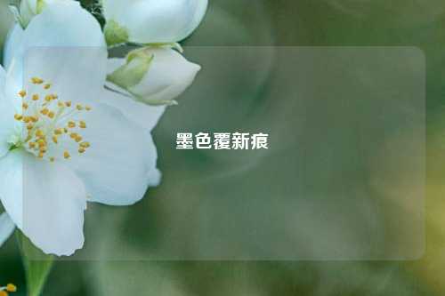 墨色覆新痕