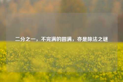 二分之一,不完满的圆满,亦是除法之谜