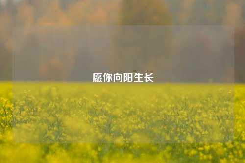 愿你向阳生长