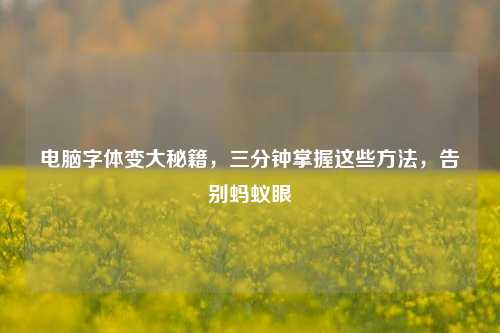 电脑字体变大秘籍,三分钟掌握这些方法,告别蚂蚁眼