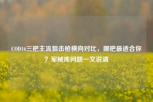COD16三把主流狙击枪横向对比，哪把最适合你？军械库问题一文说清