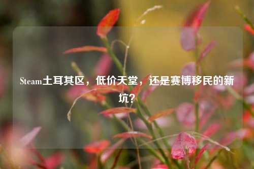 Steam土耳其区，低价天堂，还是赛博移民的新坑？